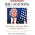 Big Agenda: President Trumps Plan to Save America