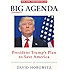 Big Agenda: President Trumps Plan to Save America