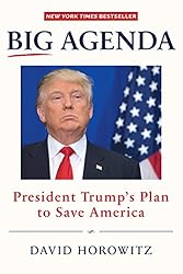 Big Agenda: President Trumps Plan to Save America