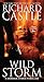 Wild Storm: A Derrick Storm Thriller (A Derrick Storm Thriller, 2)