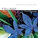 Foliage: Astonishing Color and Texture Beyond Flowers by 