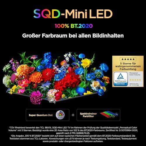 65C8L SQD-Mini LED 65 Zoll Fernseher, 4K Smart TV, Google TV, HDR10+