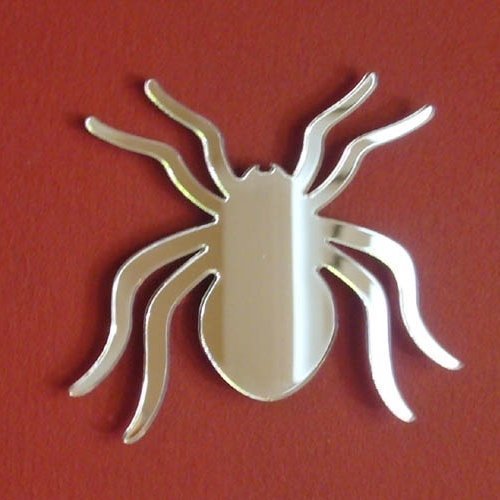 Super Cool Creations Huntsman Spider Mirror 50cm x 45cm