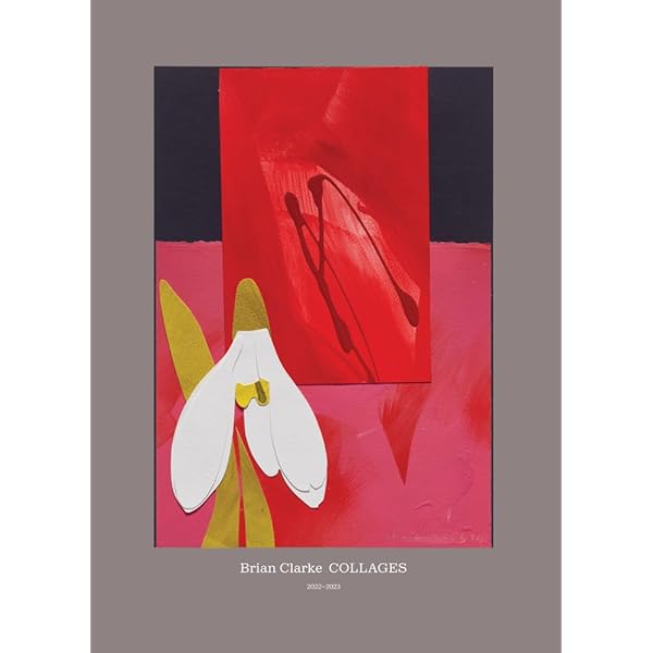 Amazon.com: Brian Clarke: The Art of Light: 9781912122172