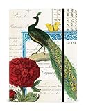 Cavallini Peacock Notebook, 6 by 8-Inch