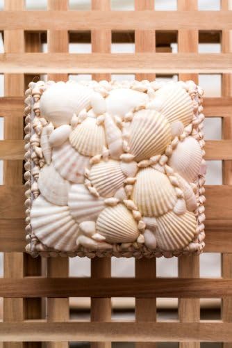 Hinterland Trading White Nautical Seashell Jewelry Box Med 5.5" Square