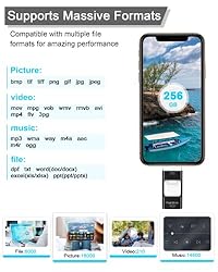 Sunany USB Flash Drive 256GB, Photo Stick Memory
