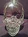 Skull crystal BIG head bottle 1750ml vodka Dan Aykroyd BRUNI moonshine 1,7l