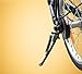 Fansport Bike Kickstand, 16 Inch Bicycle Kickstand Single-Sided Support Rear Mount Stand for Kids Bike