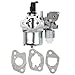 Butom EX17 Carburetor with Gasket for Subaru Robin 6.0HP EX13 EX17D EX170 EX170D SP170 SP17 Engine 277-62301-30 277-62302-50 primary