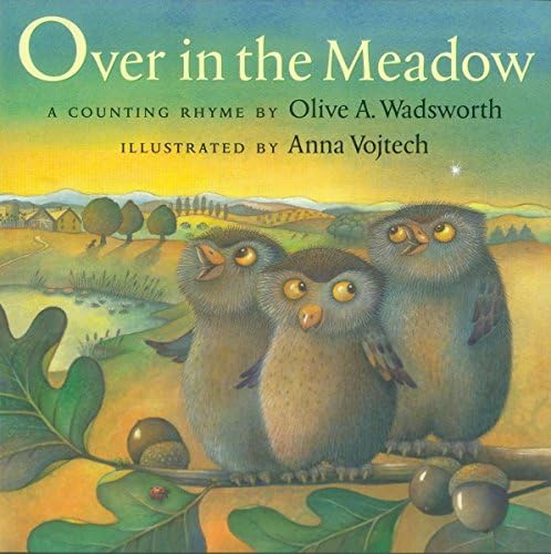 Amazon.com: Over in the Meadow (Classic Books With Holes