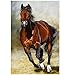 FuigeBach DIY 5D Diamond Painting Kits for Adults Full Drill Horse Diamond Painting by Number Kits Crystal Rhinestone Embroidery Arts Crafts for Home Wall Decor (Horse,12X16 inches)