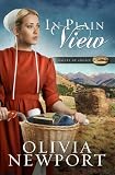 In Plain View (Valley of Choice) by 