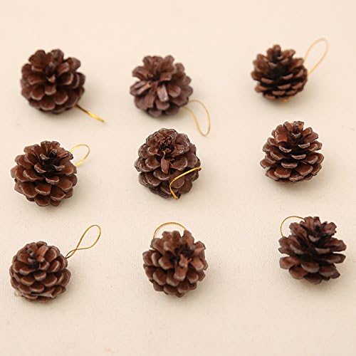 Dtzzou 36pcs Christmas Pine Cones 3-4cm Christmas Natural Pine Cones with String for Christmas Tree Hanging Decoration Ornament