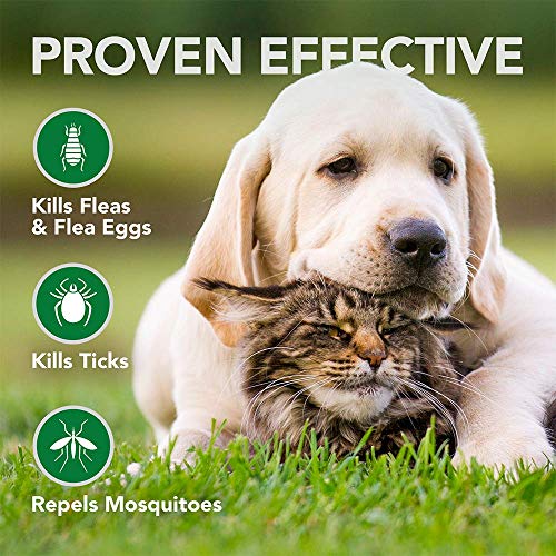 Vet's Best Flea and Tick Wipes for Dogs and Cats | Targeted Flea & Tick Application | Multi-Purpose Flea Treatment for Dogs and Cats | 50 Wipes