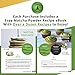 Master Matcha Certified Organic Matcha Green Tea 80 Gram (2.8 Ounce) - Culinary Grade Matcha Green Tea Powder for Lattes, Smoothies, Baking - Vegan, No Gluten, Non-GMO, No Preservatives, Sugarless