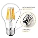 SUNMEG A19 LED Clear Edison Style Filament, Replacement to 100w Incandescent Bulbs, 1000 Lumens, E26 Medium Base Filament Bulb, Warm White (2700K), 120VAC, Non-dimmable (1- Pack)