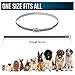 Pet Collar Pest Control Collars with Essential Oil Prevention for Dogs and Puppies with Natural Extracts 8 Month Protection Dog Treatment 25 inches One Size Fits All