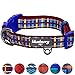 Blueberry Pet Soft & Comfy Scottish Adventure Madison Stripes Designer Padded Adjustable Dog Collar, Medium, Neck 14.5