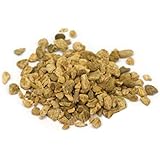 Organic Rhubarb Root - 4 Oz (113 G) - Starwest Botanicals