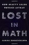 Lost in Math: How Beauty Leads Physics Astray