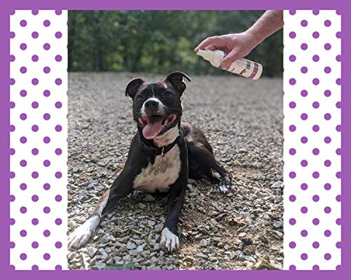 Speak Pet Products Natural Moisturizing Deodorizing Calming Lavender Daily Use Dog Waterless Bath Spray with Coconut Oil… - Image 8