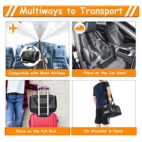 PETTOM-Oxford-Haustier-Tragetasche-Hunde-Transportbox-Katze-mit-EIN-waschbares-weiches-Wollpad-Gittergewebe-Transporttasche-fr-Haustier-fr-Reisen-und-Tglicher-Gebrauch