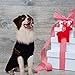 Mihachi Christmas Dog Sweater with Bells Snowflake Pattern Winter Clothes Soft Knit to Keep Warm Black-L