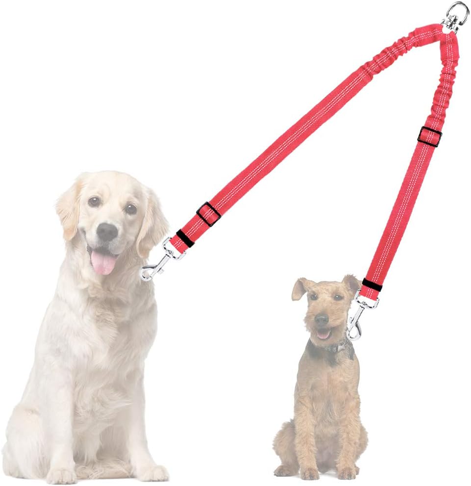 double lead leash