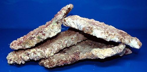 Fiji Slab Live Rock 50lb Box - Ship Free!