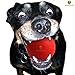SunGrow Indestructible Puppy Ball, 3.5 Inches Diameter, Red, Tough Chew Toy for Aggressive Puppies, Ultra Bouncy for Fetch and Chase Game, Entertainment for Hours, Strong Rubber Ball