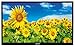 Jensen JE2815 28″ LED AC TV, High-Performance Wide 16:9 LCD Panel, 1366 x 768 WXGA+ Resolution, White LED Ilumination, 16.7 Million Colors, Integrated HDTV (ATSC) Tuner, HD Ready (1080p,720p,480p)thumb 3