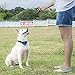 Pet Union PT0Z1 Premium Dog Training Shock Collar, Fully Waterproof, 1200ft Range (Blue)thumb 3