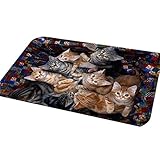 Shuohu Lovely Cat Kitty Door Mat, Bathroom Indoor/Outdoor Non Slip Washable Kitchen Area Rug