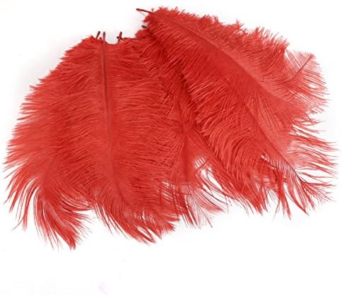 crownroyaljack 20pcs Natural Ostrich Feathers 10-12inch(25-30cm) for Wedding Party Decorations Craft