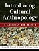 Introducing Cultural Anthropology: A Christian Perspective by Brian M. Howell, Williams Jenell Paris