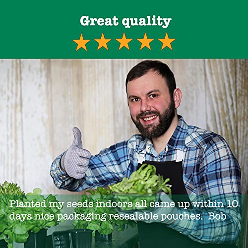 Essential 20 Vegetable Seeds by Family Sown 20 Packets of Non GMO