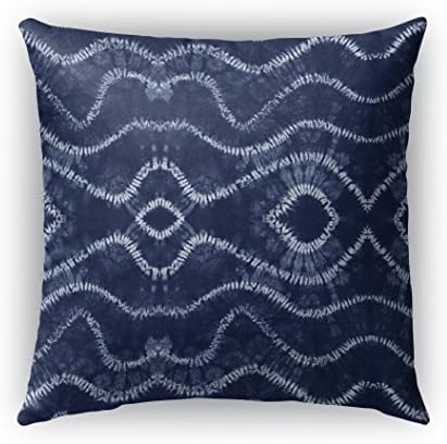 KAVKA DESIGNS Swish Indoor/Outdoor Throw Pillow, Blue - 26" X 26"