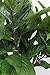 5 Foot Fiddle Leaf Fig Tree - Realistic Artificial Home Decor