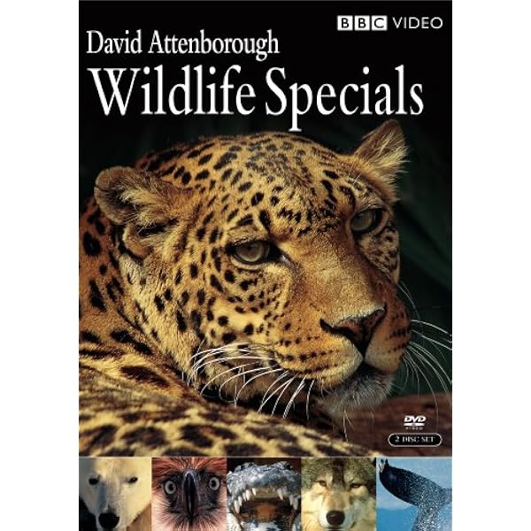 Amazon.com: David Attenborough - Attenborough In Paradise