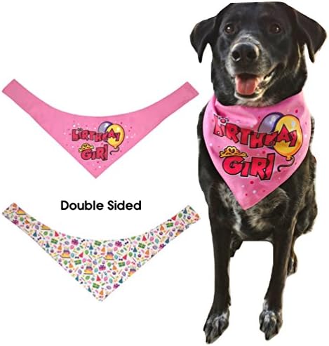 Happy Birthday Bandana for Pet Dog, Cat, Rabbit, Small Animal (Girl / Large)