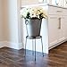 Achla Designs FB-31 Argyle II Wrought Iron Plant Stand, 14-inch H, Graphitethumb 3