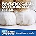 Fresh Step Clean Paws Simply Unscented Clumping Cat Litter, Recommended by Vets - 34.2 Pounds (Package May Vary)