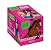 Sophie Thalmann ; quiz box ; tout savoir sur le cheval by 
