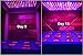 ACKE LED Panel Grow Light, Plant Light PCBA, Hydroponic Grow Light,LED Grow Light Aluminum Board for Greenhouse,Grow Light Stand, Vegetative Growth of Seedling, Flowers, Herbs