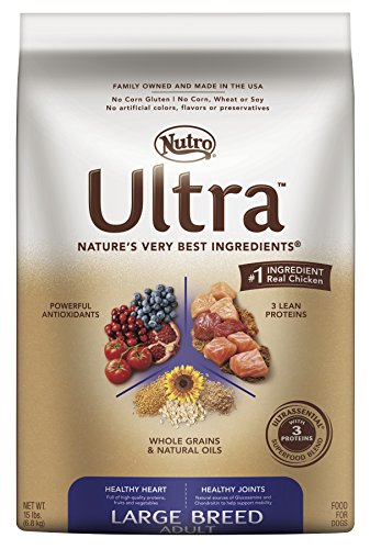 cheapest nutro dog food