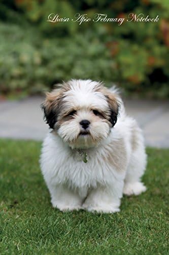 Lhasa Apso February Notebook Lhasa Apso Record, Log, Diary, Special Memories, To Do List, Academic Notepad, Scrapbook & More