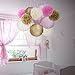 Tissue Paper Pom Pom Flowers and Paper Lanterns Party Decoration, 12 Pieces (Style A)