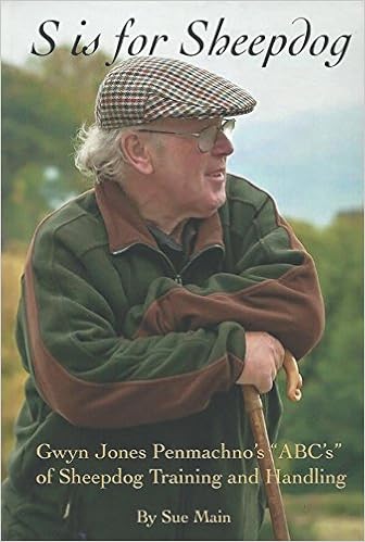 children's play vet set