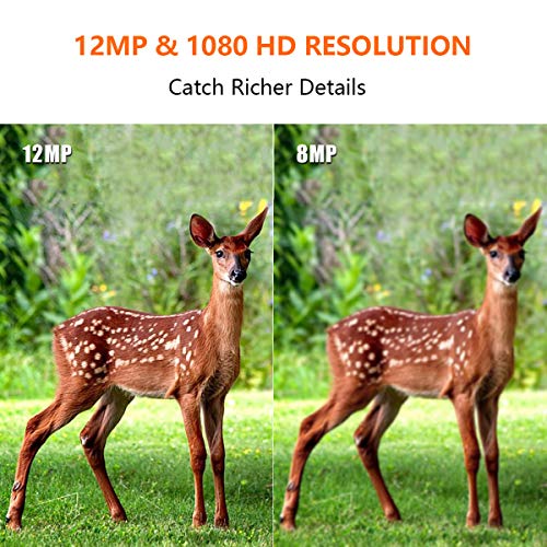 Trail Camera Hunting Game Camera, 2019 Upgraded Motion Activated Night